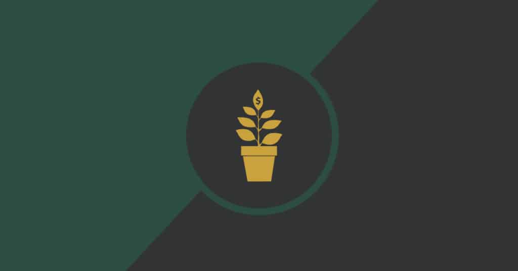 Craft & Communicate | Money plant